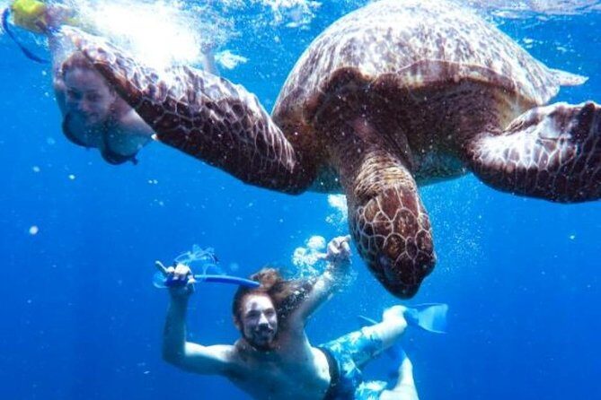 Snorkeling Tour In Gili Trawangan, Gili Meno And Gili Air Pick Up From Bali - Price and what you’re really paying for ($275)