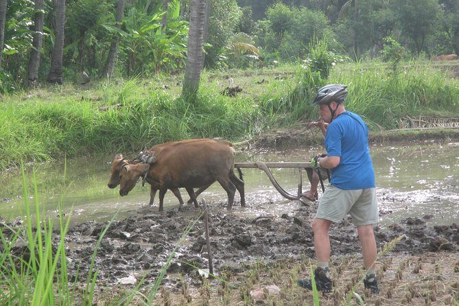 Snorkeling & Trekking at West Bali National Park - Day 2 in West Bali National Park: temple to monsoon forest