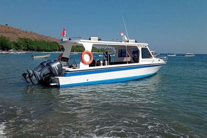 Snorkeling Trip to Menjangan Island - Where You’ll Meet and What to Do When You Arrive