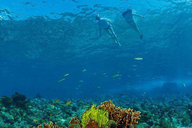 Snorkeling Trip to Menjangan Island - Two Snorkel Sessions at Menjangan: How the Time Actually Works