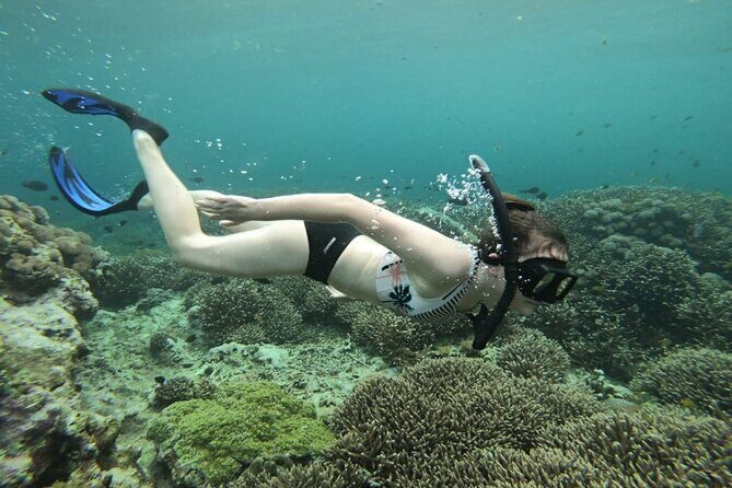 Snorkeling Trips with Manta Ray from Nusa Lembongan - Pickup, timing, and how to show up ready