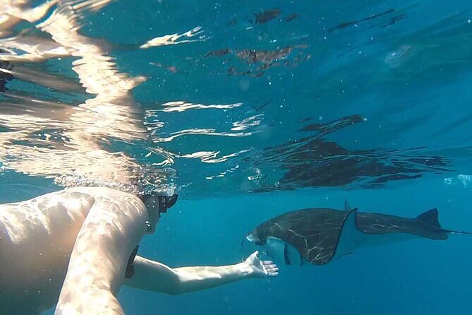 Snorkeling with Manta Rays in Their Habitat with Manta Point - Crystal Bay (and Gamat Bay): the reef stop that rounds out the day