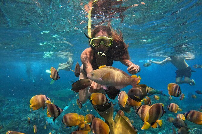 Snorkeling with Manta Rays in Their Habitat with Manta Point - Your guide’s GoPro work and the link you’ll receive in ~24 hours