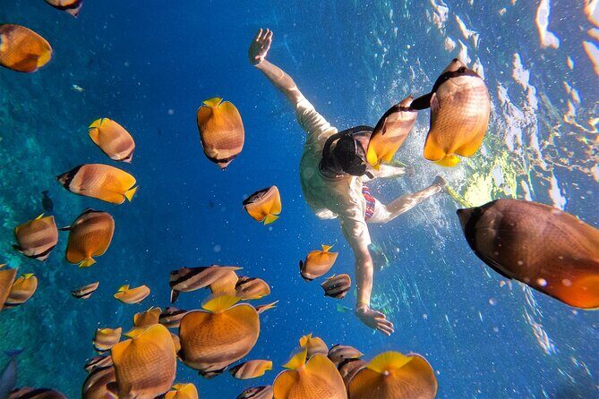 Snorkeling with Manta Rays in Their Habitat with Manta Point - Equipment, shower, and small comforts that add up