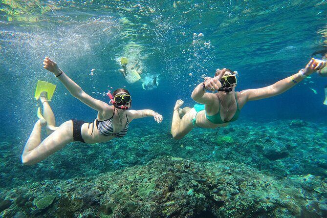 Snorkeling with Manta Rays in Their Habitat with Manta Point - Who should book (and who should pause for weather)