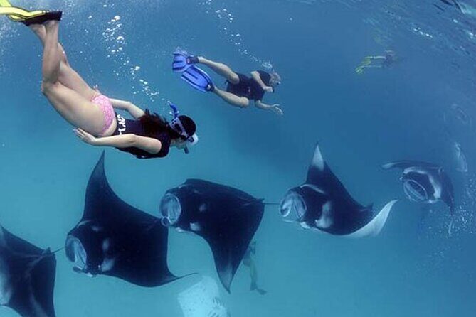 Snorkeling with Manta Rays in Their Habitat with Manta Point - Getting to Banjar Nyuh Harbor: the part that sets the tone