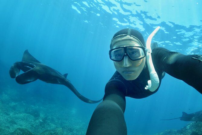 Snorkelling in Nusa Penida - Manta Point - The Sanur setup: pickup, boat timing, and what the day feels like