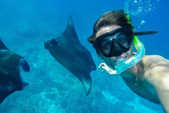 Snorkelling in Nusa Penida - Manta Point - Stop-by-stop: how each snorkeling location works