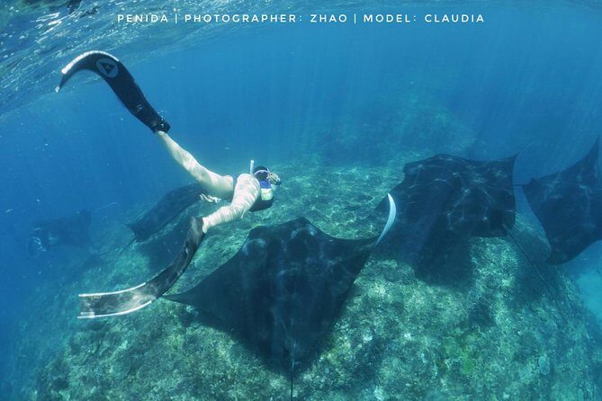 Snorkelling in Nusa Penida - Manta Point - Group size and who this tour suits best