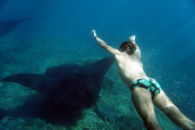 Snorkelling with Manta Rays at Nusa Penida and Lembongan - Stop Two Choice: Crystal Bay Sea Turtles or a Drift-Style Coral Swim