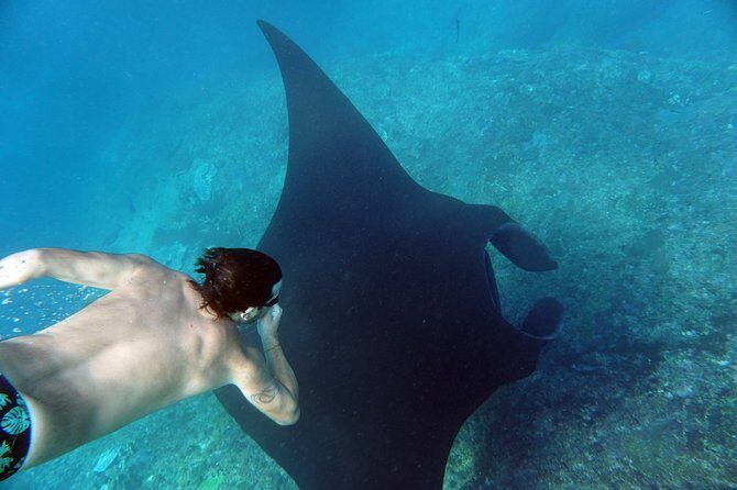 Snorkelling with Manta Rays at Nusa Penida and Lembongan - The Speedboat Day: Food, Water, and Small Comforts That Actually Matter