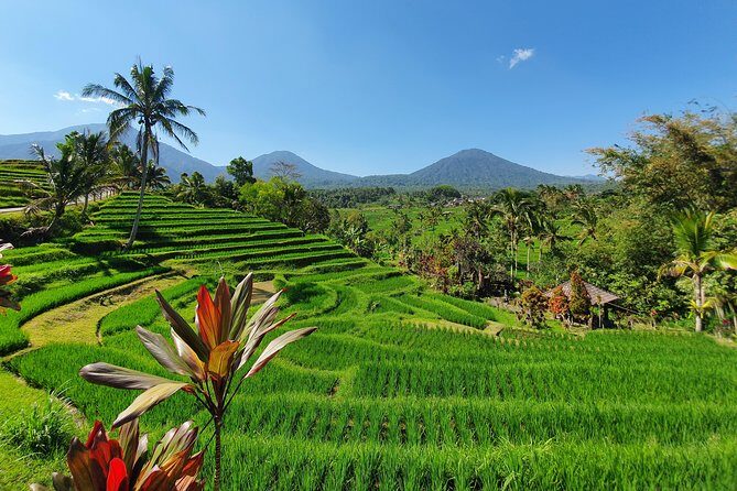 Solo or Group Tour - 10 Hours, 5 Persons Max - Pickup and a sharp 8:00 am start in Kuta