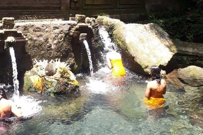 Soul Purification at Pura Mengening in Bali - Price and value: is $45 fair for what you get?