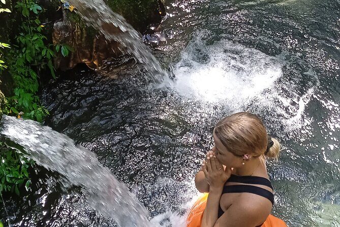 Spiritual Cleansing Ritual and Shamanic Healing in Bali - Tegallalang Rice Terrace: photo-ready paddies with real walking time