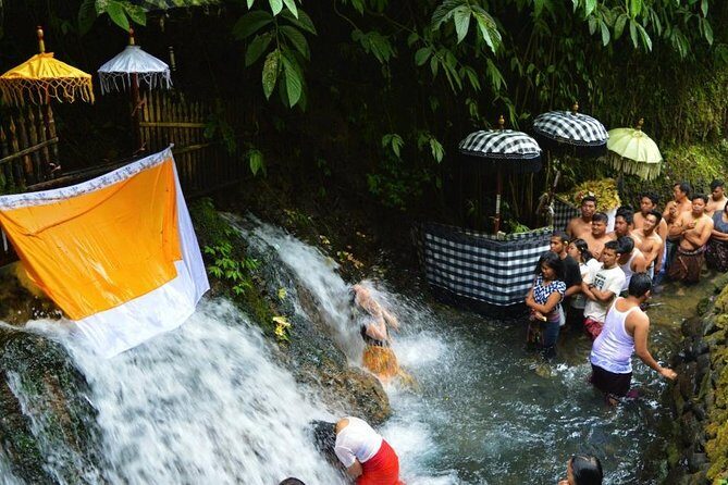 Spiritual Purification and Local Healer Visit Tour (ALL INCLUDED) - Why This Tour Feels Different in Ubud