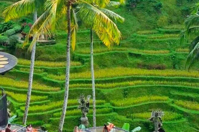 Sunset Sailboat Dinner Cruise & Private Ubud highlights Tour. - Buffet dinner logistics: vegetarian and vegan requests