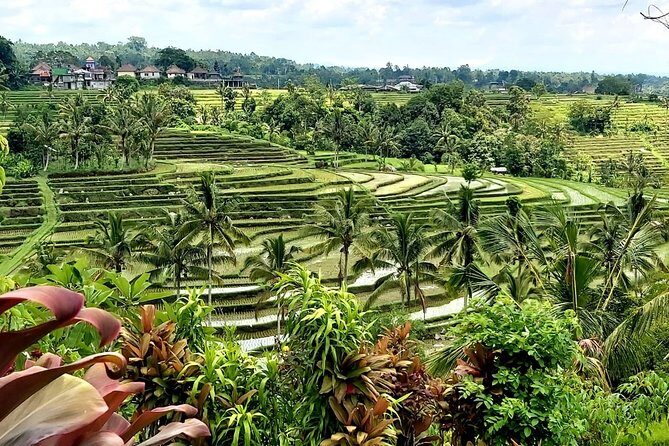 Tanah Lot and Jatiluwih Unesco Rice Terrace Private Tour - Getting from Ubud: AC pickup and how to survive a 8–10 hour day
