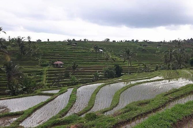 Tanah Lot and North Bali Private Tour - All inclusive - Ulun Danu Bratan: a temple that sits quietly over the lake