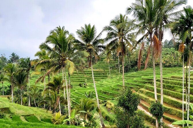 Tanah Lot and North Bali Private Tour - All inclusive - Timing and pacing: why 8 to 10 hours can still feel manageable