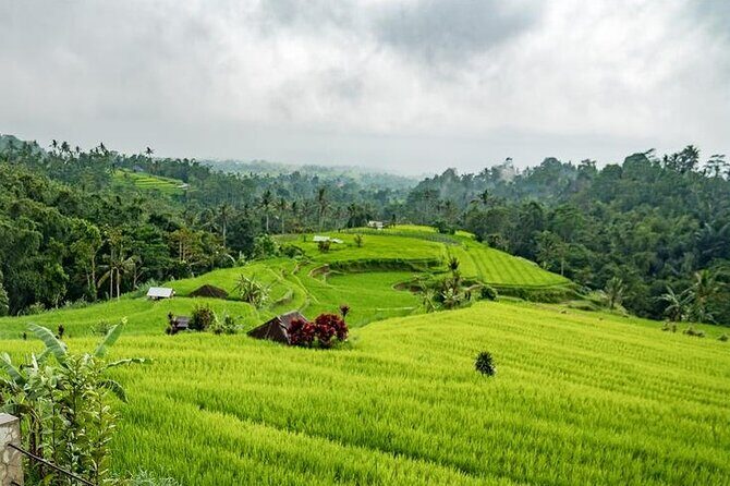 Tanah Lot and North Bali Tour: Scenic Journey - Wanagiri Hidden Hills and rural viewpoints: quick stops that add variety