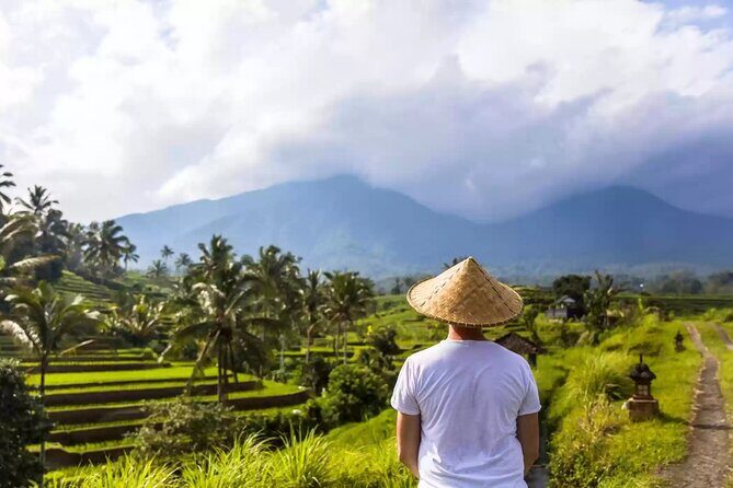 Tanah Lot, Jatiluwih Rice Terrace and Waterfall Day Tour - What’s included (and what you’ll pay yourself)