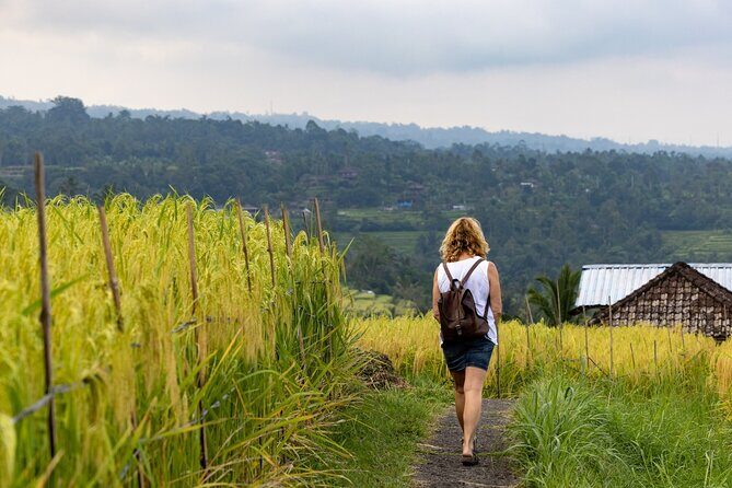 Tanah Lot, Jatiluwih Rice Terrace and Waterfall Day Tour - Price and value: when $90.54 per group makes sense