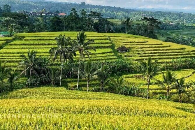 Tanah Lot, Jatiluwih Rice Terrace and Waterfall Day Tour - Tanah Lot Temple: sea temple views and sunset timing