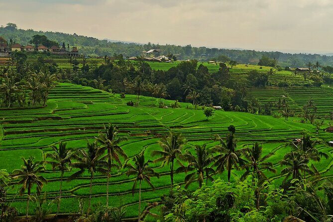 Tanah Lot Tour: Discover Bali’s Iconic Temple and Stunning Views - Price and value: what $75.65 gets you (and what it doesn’t)