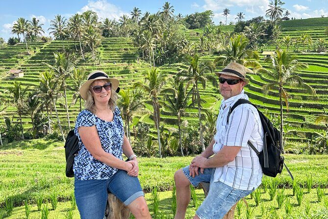 Tanah Lot Tour & North Bali Tour : All-Inclusive Best Experience - The Seminyak-to-North Bali route, minus the hassle