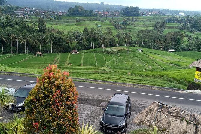 Tanah Lot Tour & North Bali Tour : All-Inclusive Best Experience - What’s included in the $85 price, and why that’s smart