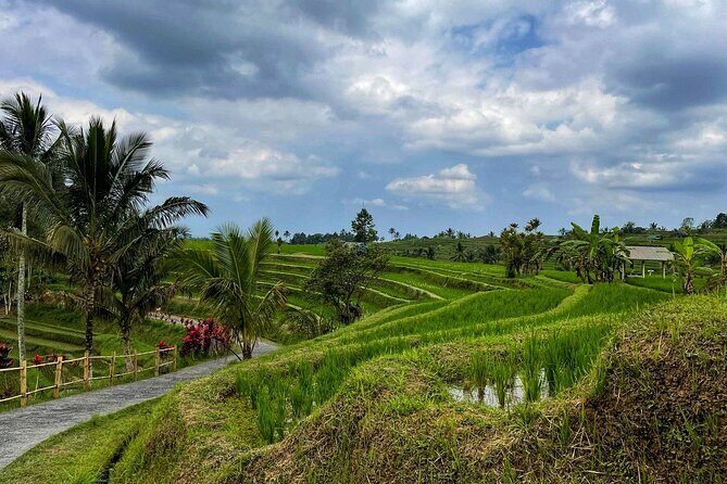 Tanah Lot - Ulun Danu Beratan Temple - Scenic Countryside Tour - Your ride, your pace, and why “private” is worth it here