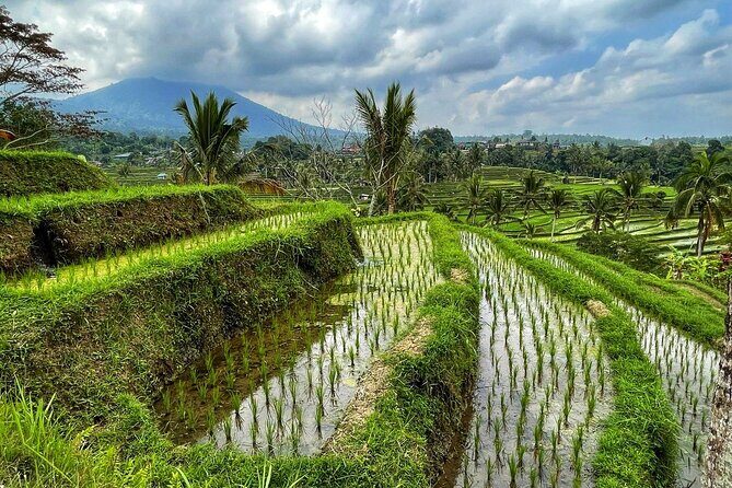 Tanah Lot - Ulun Danu Beratan Temple - Scenic Countryside Tour - Ulun Danu Beratan Temple: lake views first, details second