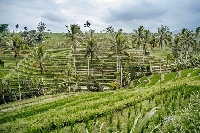 Tanah Lot & UNESCO Heritage Small Group Tour - Value and Logistics: What You’re Actually Paying For
