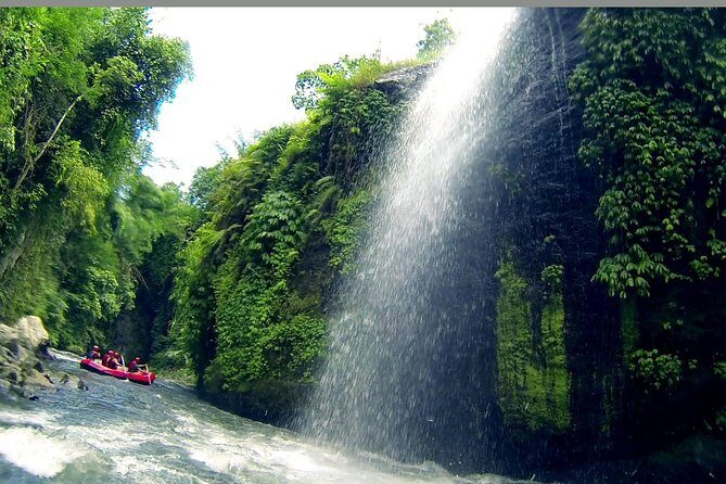 Telaga Waja River White-Water Rafting with Buffet Lunch - Buffet Lunch in Rice Fields: Refueling After the Wet Work