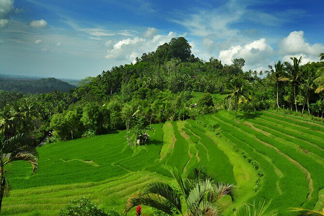 Telaga Waja White Water Rafting and Besakih Temple Tour - Price and value: $80 for a full-day raft-and-temple package