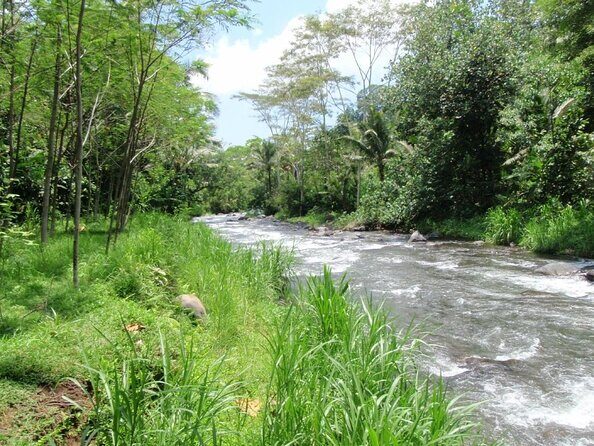 Telaga Waja White Water Rafting and Uluwatu Sunset Tour - Quick hit highlights