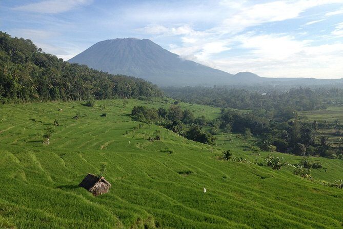 Tenganan Village Rice Field Trekking Tour - Kastala to Tenganan: Why this East Bali hike feels different