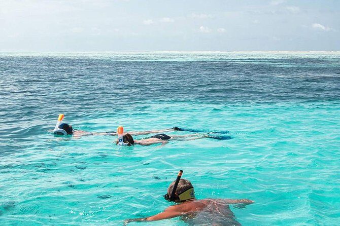 The Best 2-point Snorkeling in Padangbai: Blue lagoon and Tanjung jepun - Key Things You’ll Notice on This Tour
