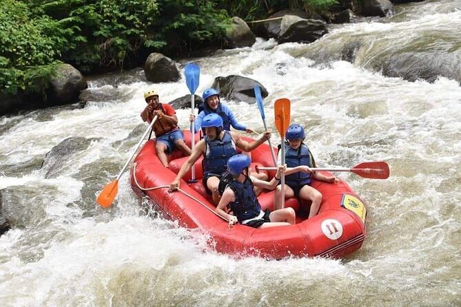 The Best Ayung River Rafting Adventure in Ubud - Who This Ayung River Adventure Suits Best