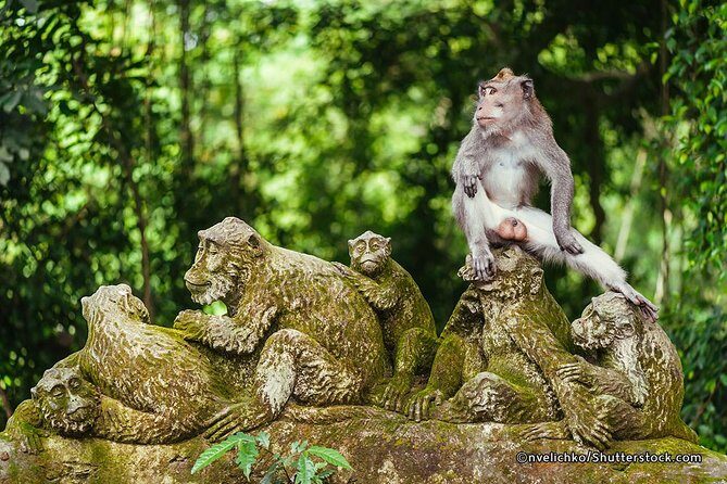The Best of Ubud Tour and Jungle Swing - Sacred Monkey Forest Sanctuary: a classic start with real entry fees