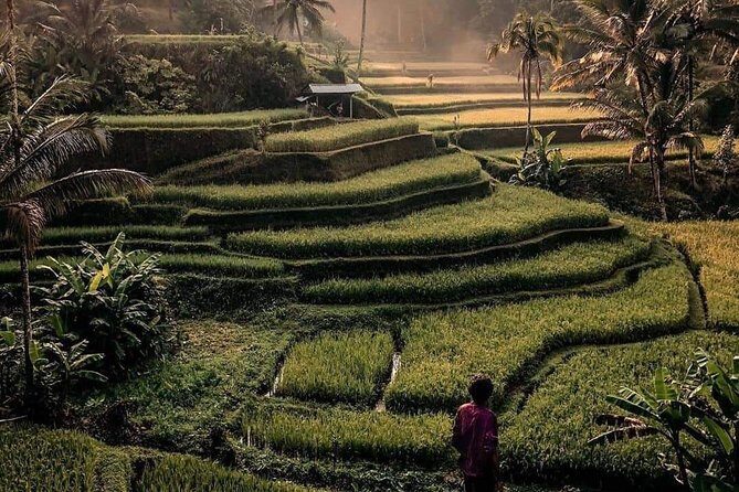 The Gates of Heavan - Ubud Jungle Swing & Waterfall Tour - Photography reality check: how to avoid the Gates of Heaven letdown