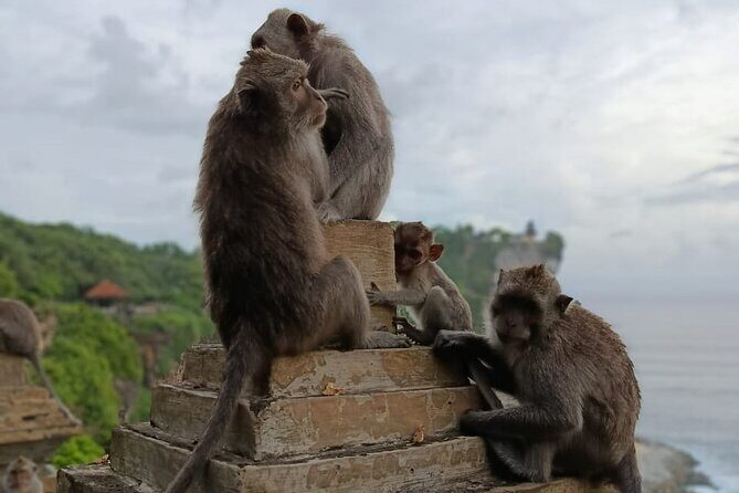 The Uluwatu Tour - Entering Uluwatu Temple: Clifftop Views and Practical Temple Time