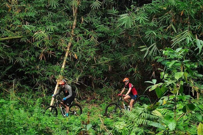 The Volcano Trail – Epic Volcano Cycling Adventure - Key highlights to know before you go