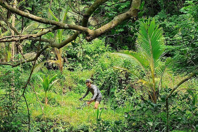 The Volcano Trail – Epic Volcano Cycling Adventure - Terrain difficulty: who this ride suits best