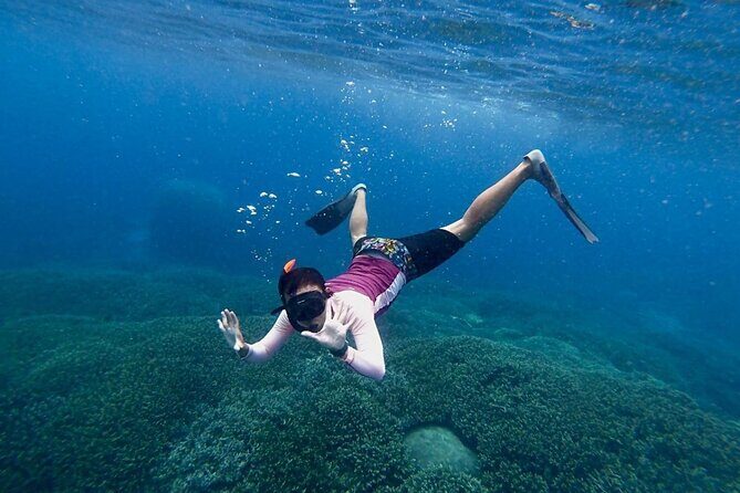 Three Islands Snorkeling (3 Spots) Manta Rays - From Lembongan - Price and Value: Is $24 a Good Deal?