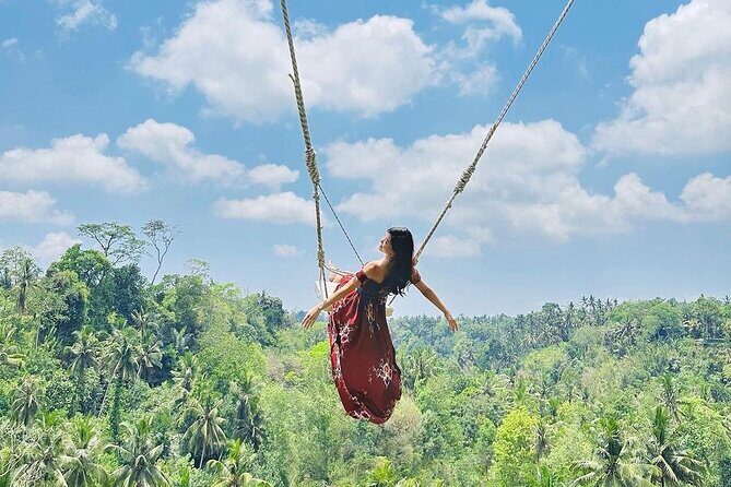 Tirta Empul temple, Jungle Swing and Waterfalls - Private Tour - The private transport advantage: why this tour feels easier than DIY