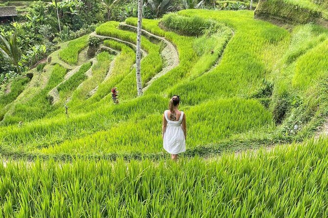 Tirta Empul temple, Jungle Swing and Waterfalls - Private Tour - Stop 2: Happy Swing Bali (Ubud Jungle Swing)—the “above the canopy” moment
