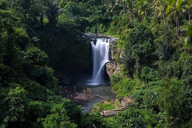 Top Ubud Attractions: Private Full-Day Guided Tour - Mas Carving Center: Learning Woodcraft Without the Hard Sell
