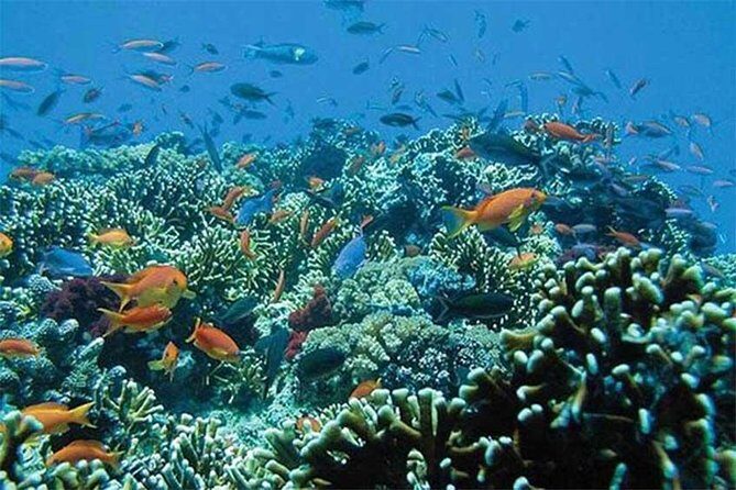 Tour Gate of Heaven at Lempuyang Temple - Blue Lagoon Snorkeling with lunch - Topi Inn lunch: how the meal fits between temple and sea