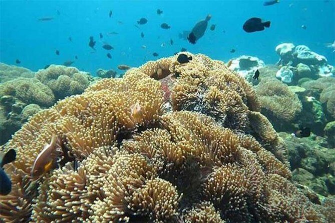 Tour Gate of Heaven at Lempuyang Temple - Blue Lagoon Snorkeling with lunch - Who should book this Lempuyang + Blue Lagoon combo